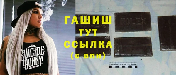 молекула духа Пыталово