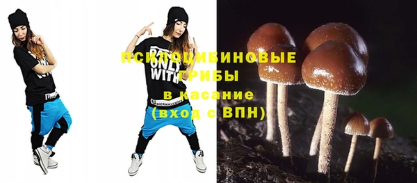 молекула духа Пыталово