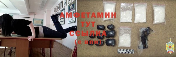 Альфа ПВП Лагань