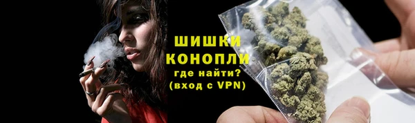 прущие грибы Лихославль