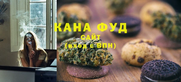 Альфа ПВП Лагань