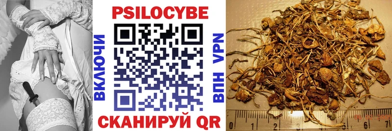 Псилоцибиновые грибы ЛСД  Казань 