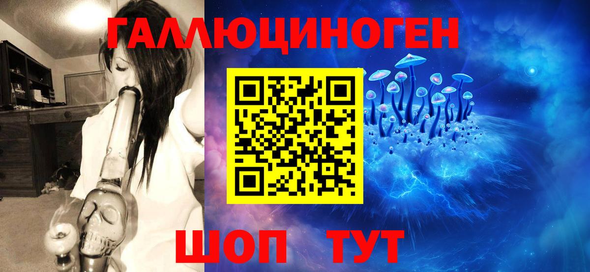 Галлюциногенные грибы мицелий  Вход с VPN  Казань  Галлюциногенные грибы GOLDEN TEACHER 