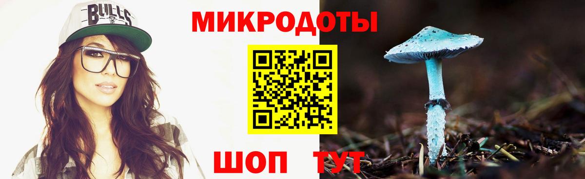 Псилоцибиновые грибы Cubensis Казань
